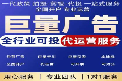 竞价广告的投放策略调整：基于数据反馈的实战案例